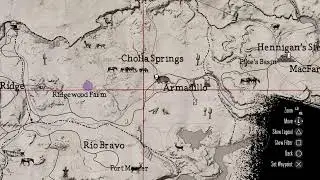Playing Red Dead