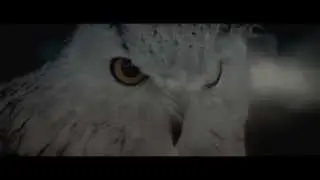 Kill Your Boyfriend - Rudolph (Official Video - Radio Edit)