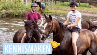 🐴 - TREC op STAL &lsquo;T REELAER 2019 /zondag&maandag/ | !lse vlog #22