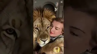 #aslanburcu #aslan #лев #левзнакзодиака#львы #гороскопы #таро #2026 #таролог