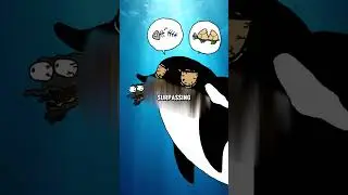 Orca - The Apex Predato #orca #shark #foryou #flickshots #dinosaur #game #animation