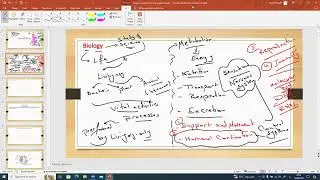 Lecture 1 Support in plant