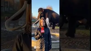 Задрыщенск  ► все что не вошло или вошло в ежедневные выпуски #юмор #viralvideo