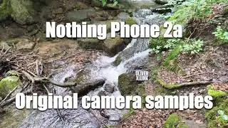 Nothing Phone 2a camera sample download - Get 46 original photos and videos with metadata
