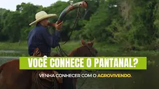 Especial de Final de Ano | PANTANAL