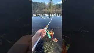 Which one?? #baitcaster #spinningreel #fishing #bassfishing #shorts