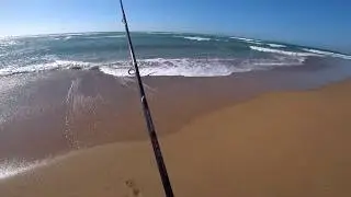 Moulay Bousselham Surfcasting 4k 2019