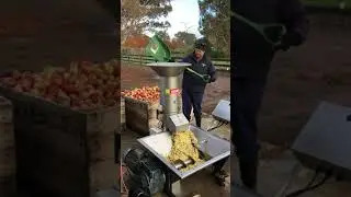 Voran Apple Crusher / shredder