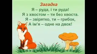3 клас. Природа. Гриби - живі організми. Будова та значення грибів у природі.