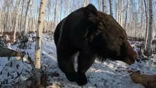 Две новости. Плохая и хорошая.