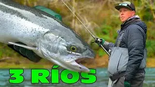 Atrapa un steelhead en 3 ríos diferentes en un solo día – ¡Reto de pesca extrema!