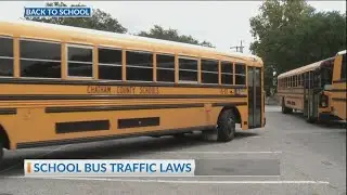 School bus traffic laws