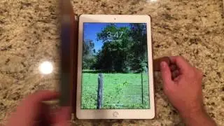 Dandy Layered iPad Pro