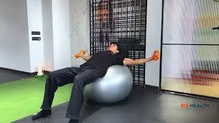 301-Swiss Ball Bridge Fly