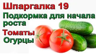 ШПАРГАЛКА 19. Схема подкормки для быстрого роста рассады после высадки.