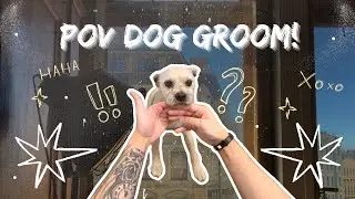 GROOM WITH ME! - First POV - Glen of imaal terrier
