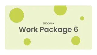 ENDOMIX - Work Package 6