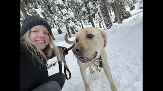 Cozy cabin after a snow storm- Constellation Creek Story #2