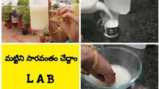 మొక్కల ఎదుగుదలకు అవసరమైన మట్టిని చేద్దాం/Increase your soil fertility #chohanq #soil