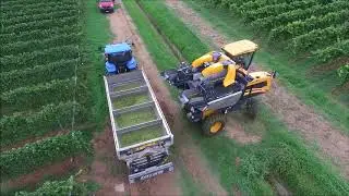 RIMORCHIO BILATERALE  - GRAPE TRAILER