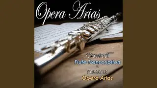 The Magic Flute, Act 2: Queen of the Night (Flute Transcription)