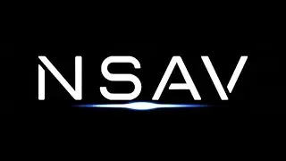Net Savings Link, Inc. (OTC Pink: NSAV)