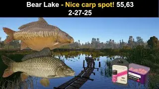 Рыбалка в районе Russian Fishing 4, озеро Bear Lake - Отличное место для ловли карпа! 55,63 27.02...