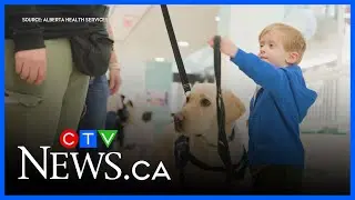 Dog joins the staff at the Stolley Children's Hospital