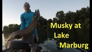 Muskellunge Musky Lake Marburg Hanover PA