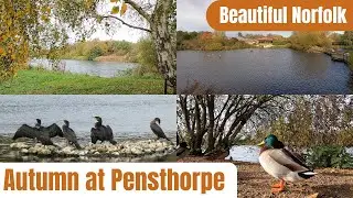 Autumn at Pensthorpe