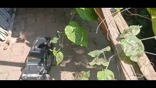 #rccarfun #rccar4x4 #conqueror #defenderd110 #defenderrc #landrover #landroverdefender #kenya
