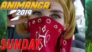 Animanga 2019 Day 3 Vlog
