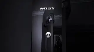 🥶🥶Coldest moments ever | Respect,  girl cats vs boys cats edit #shorts #coldestmoment