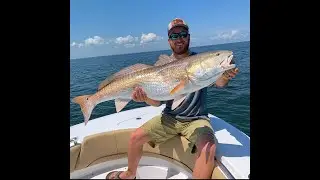 How to Target Bull Reds