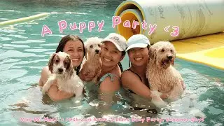 Vlog 55: A Puppy Party: Mochi's first time in OKC, Sisters bday party, Shawnee chilling