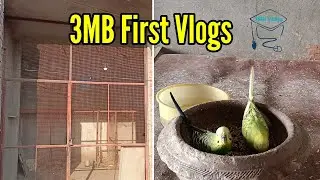 3MB Start Vlogs || My First Vlog With You || 3MB New Video || 3MB Volgs Setup - 3mbvlogs