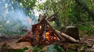 Bushcraft and Insomnia. Somerset, UK