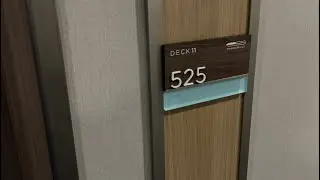Royal Caribbean Odyssey of The Seas handicapped accessible interior stateroom 11525 - 1
