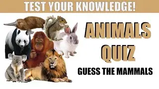 Animals Quiz - Guess the Mammals