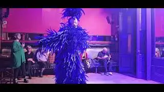 Caf&eacute; Lusitano, Porto, Portugal, on 05/02/25. Drag Queen show. Jessica Mauboy - We Got Love