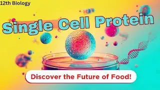 Single Cell Protein (SCP)
