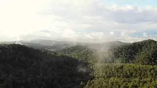 Valldaura Labs - Collserola Natural Park