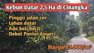 Dijual Kebun 2,5 Ha di Cinangka