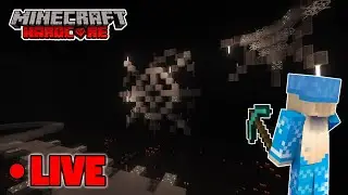 Hardcore Minecraft LIVE - Spider Farm Building (22k day world)