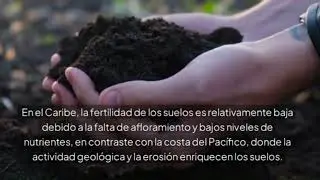 EVOLUCI&Oacute;N GEOL&Oacute;GICA DEL ISTMO DE PANAM&Aacute;