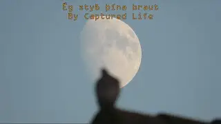 Ég styð þína braut
