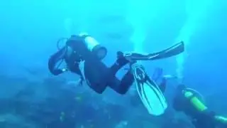 Morton Island 2012 with Kirra Dive