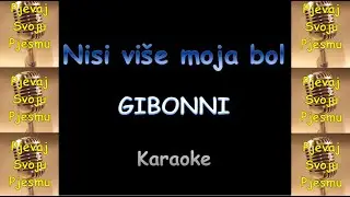 Gibonni - Nisi više moja bol (Karaoke & Tekst)