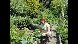 Climate Change Gardening with Kim Stoddart