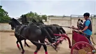 Cuadriga contra enganche, Alcalá de Guadaíra, Sevilla
